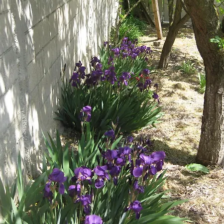 Panorama Lägenhet Golden Sands