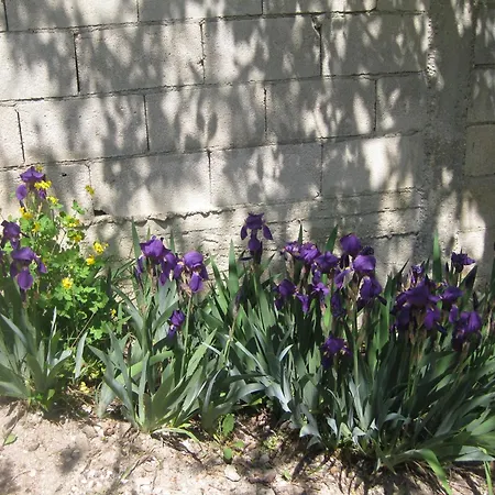 Panorama Lägenhet Golden Sands