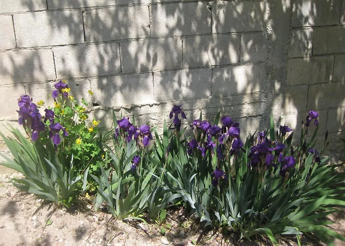 Panorama Lägenhet Golden Sands