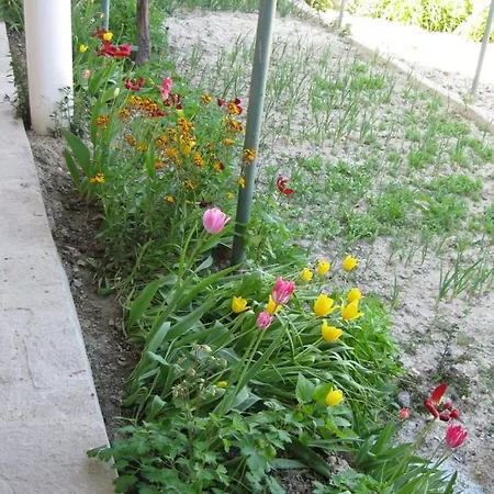 Panorama Apartman Aranyhomok