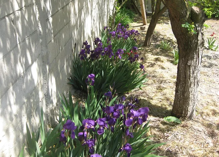 Panorama Lejlighed Golden Sands