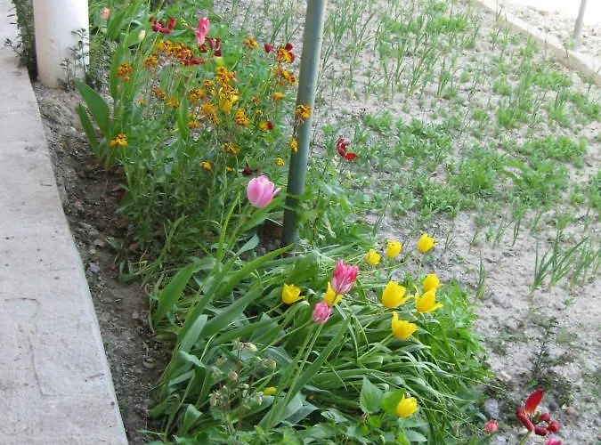 Panorama Lejlighed Golden Sands
